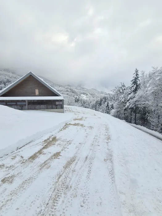 Chemin d'accès déneigé menant à un chalet sous la neige